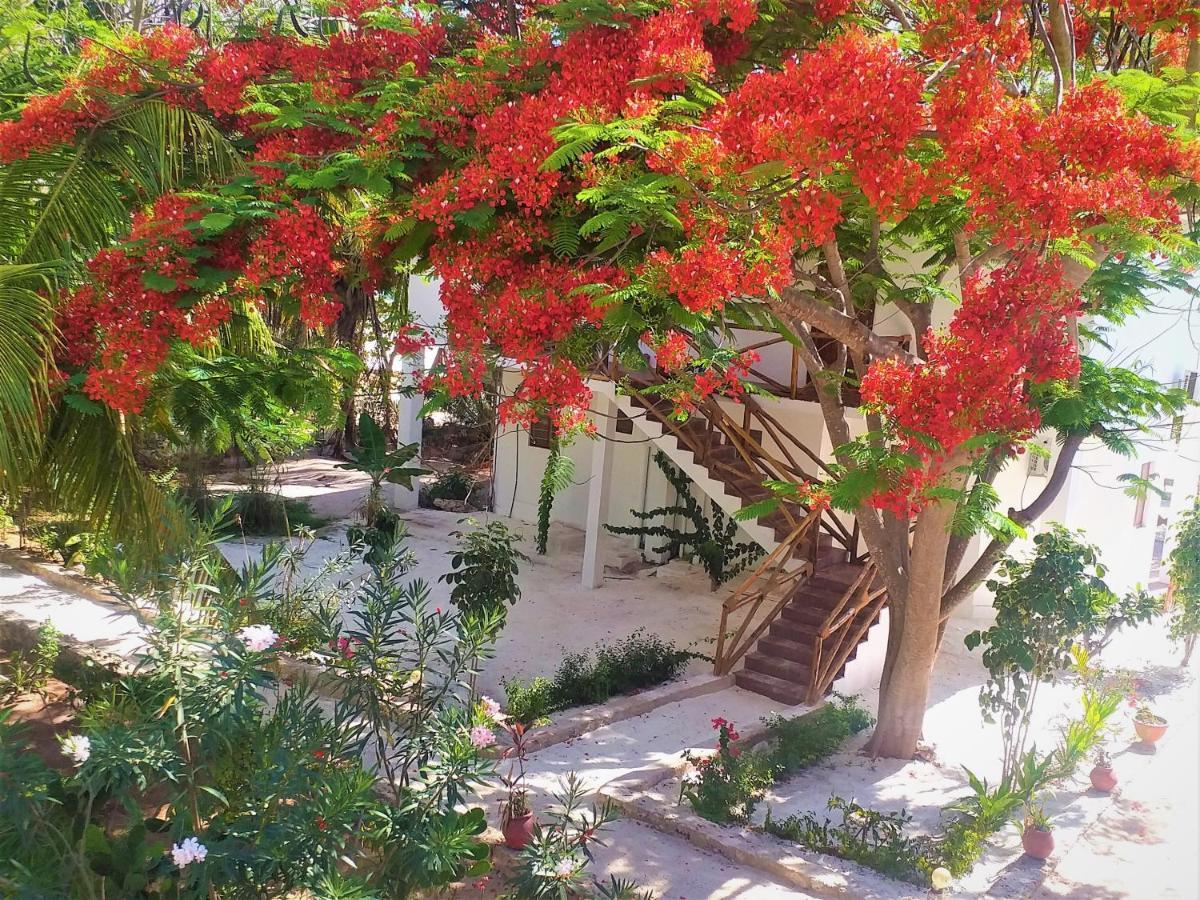 Kaure Sand Beach Lodge اوروا المظهر الخارجي الصورة